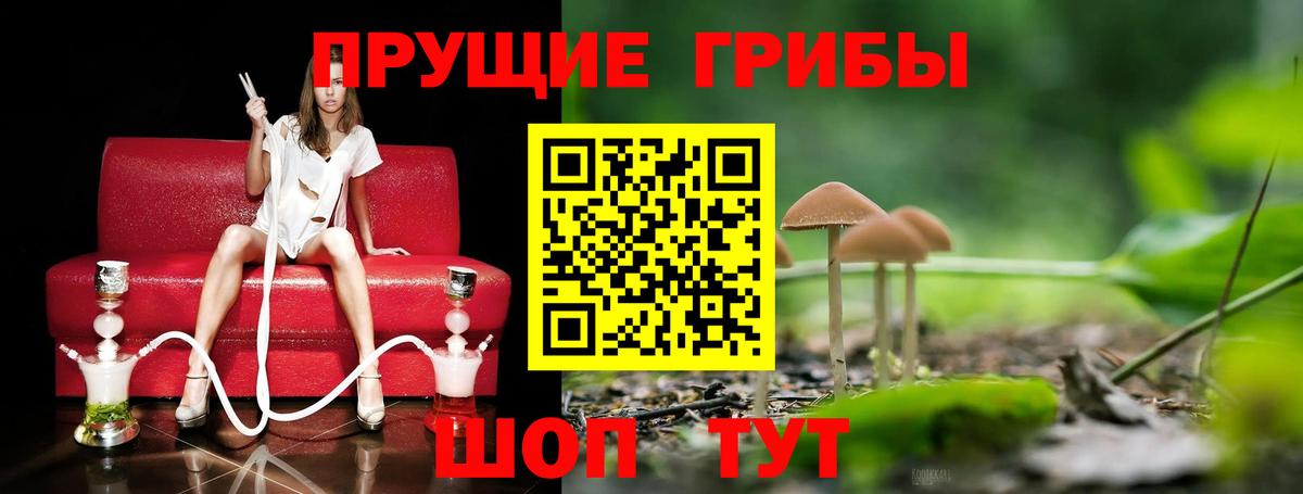 Галлюциногенные грибы MAGIC MUSHROOMS Ульяновск